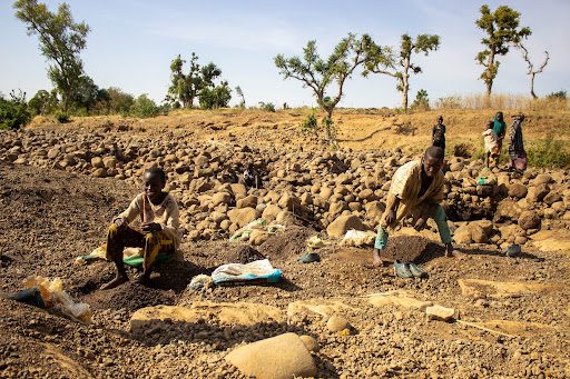 Children working on rocky terrain with tools, surrounded by dry land and scattered trees under a clear sky.