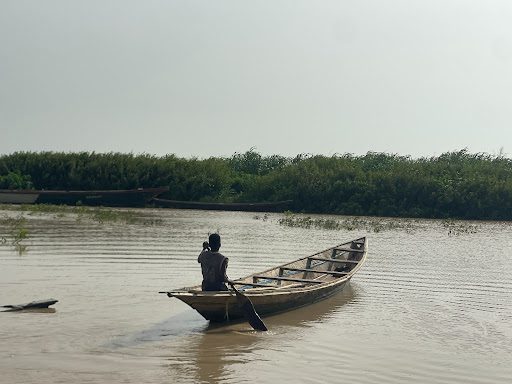 Person paddling a wooden boat on a calm river, surrounded by greenery under a clear sky.