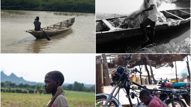 Collage of two boys: one rowing a boat, the other holding a net. Another boy stands with a stick, and a child repairs a motorcycle.