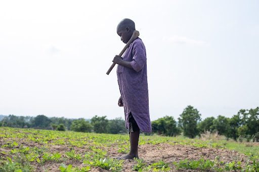 A person stands barefoot in a field holding a wooden tool over their shoulder, surrounded by green plants and an open sky.