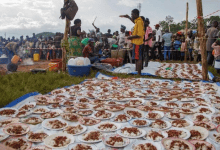Plates of food arranged on a tarp while a crowd gathers at an outdoor event.