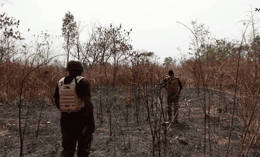Two people in protective vests walk through a dry, burnt-out landscape with sparse trees under a clear sky.